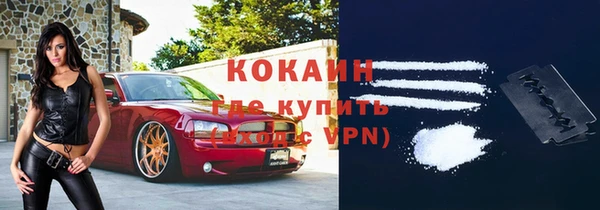 ешки Арсеньев