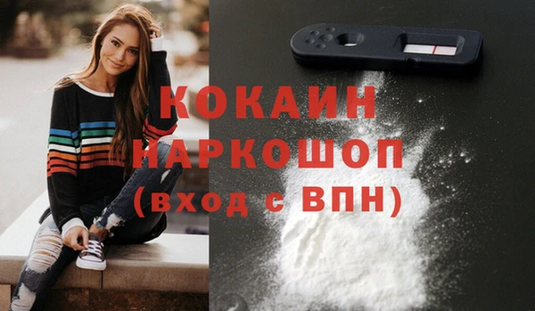 ешки Арсеньев