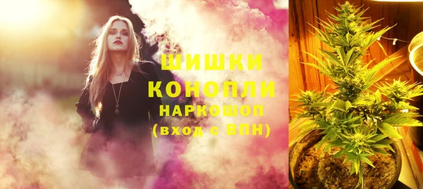 стафф Аркадак