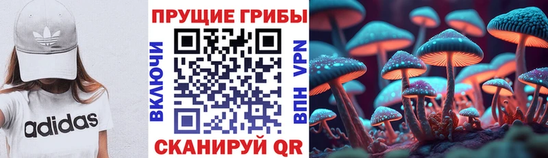 Галлюциногенные грибы прущие грибы  Купить где  Болгар 